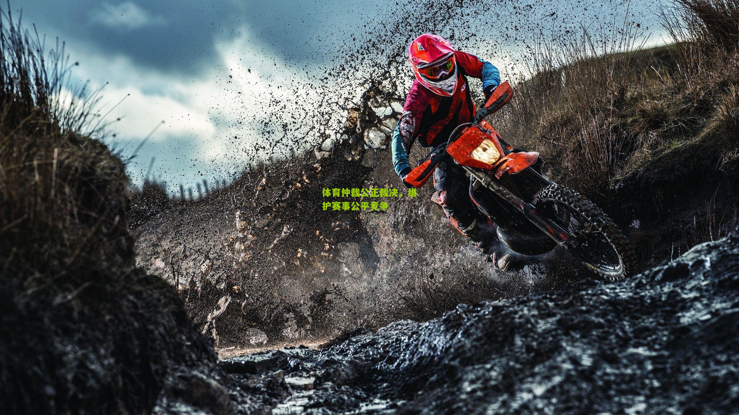 开云体育下载|体育仲裁公正裁决，维护赛事公平竞争