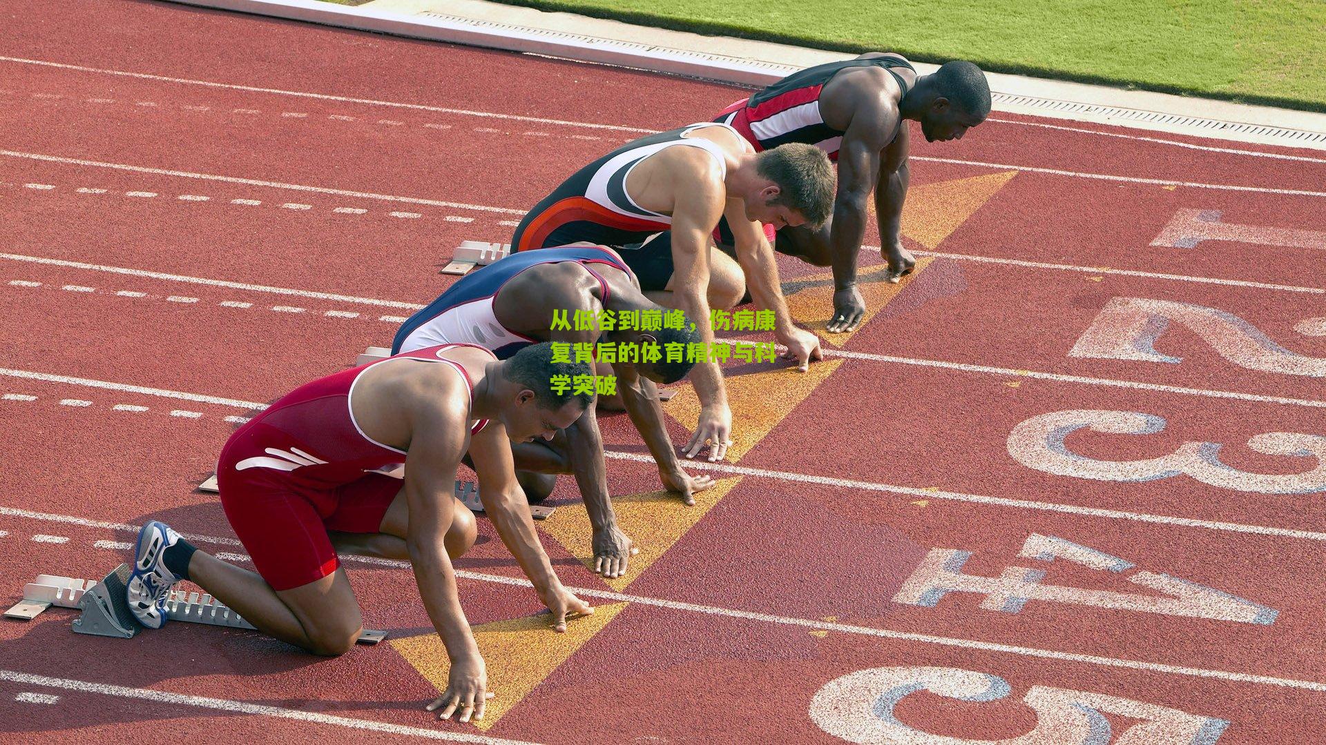 开云体育下载|从低谷到巅峰，伤病康复背后的体育精神与科学突破